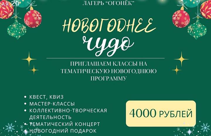 Новогоднее чудо!